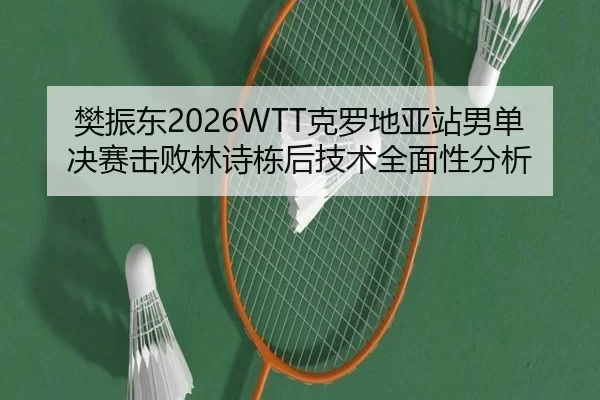 樊振东2026WTT克罗地亚站男单决赛击败林诗栋后技术全面性分析